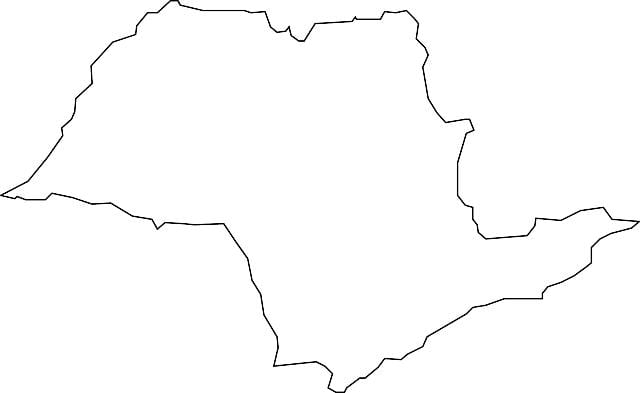 Karte von São Paulo-Vektor